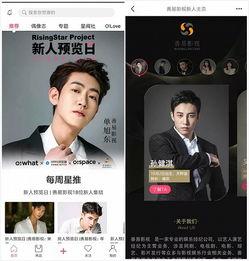 为明星做数据,揭秘明星数据背后的秘密